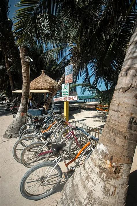 caye caulker reviews|transportation from belize city to caye caulker.